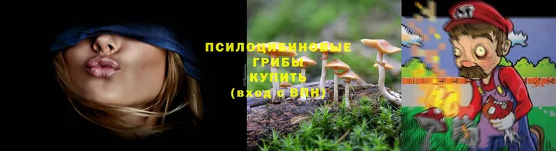 Псилоцибиновые грибы Cubensis  hydra вход  Петропавловск-Камчатский 